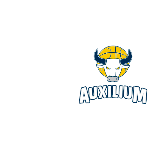 Logo Fiat Turin