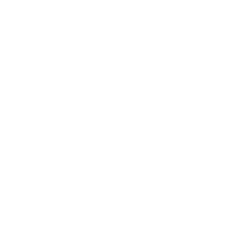 Logo Zenit St Petersburg