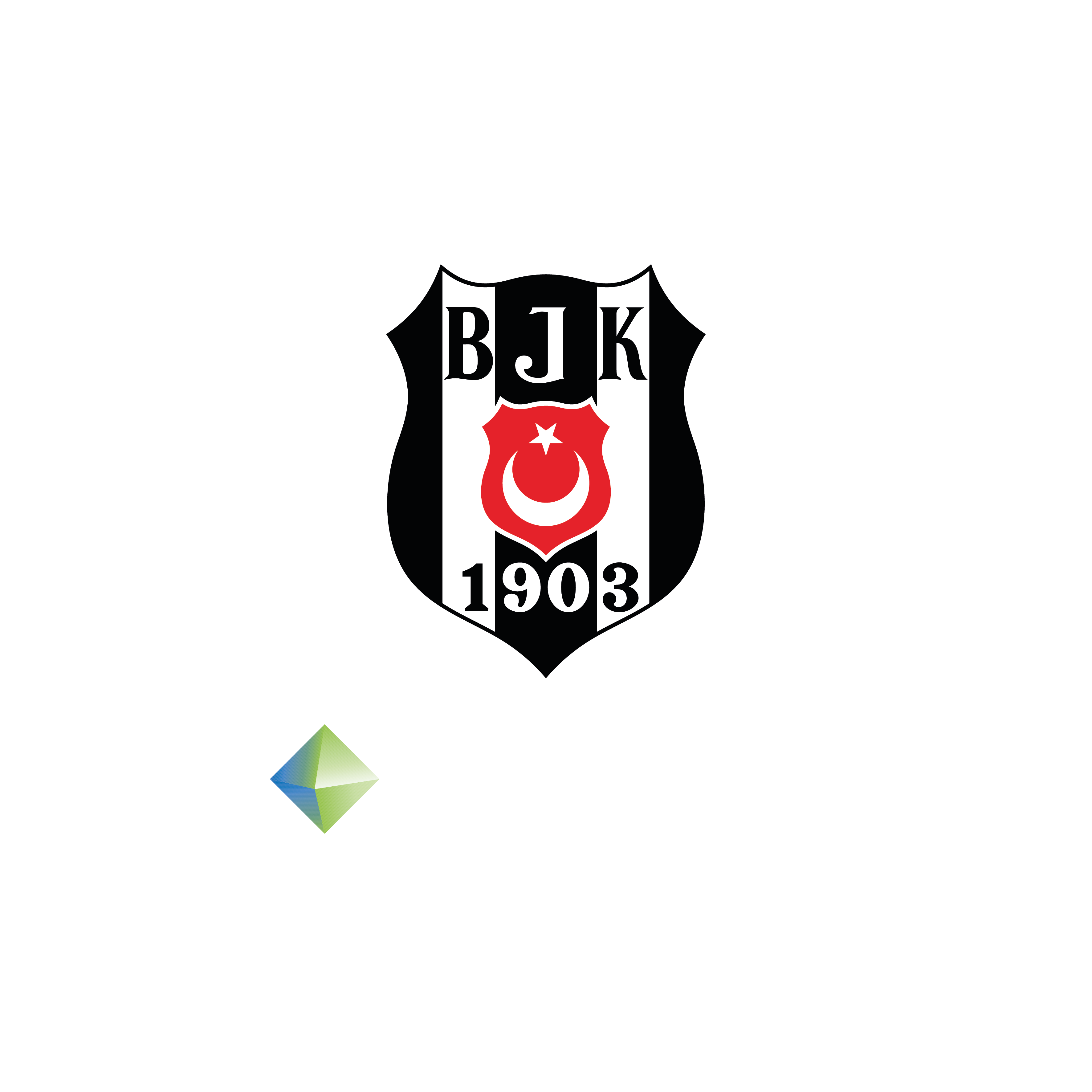 Logo Besiktas Fibabanka Istanbul