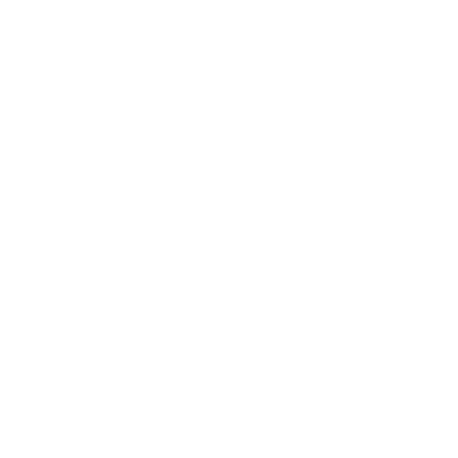 Logo NINERS Chemnitz